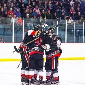 Meet your Posher, Bevis